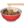 20250124-vamkz