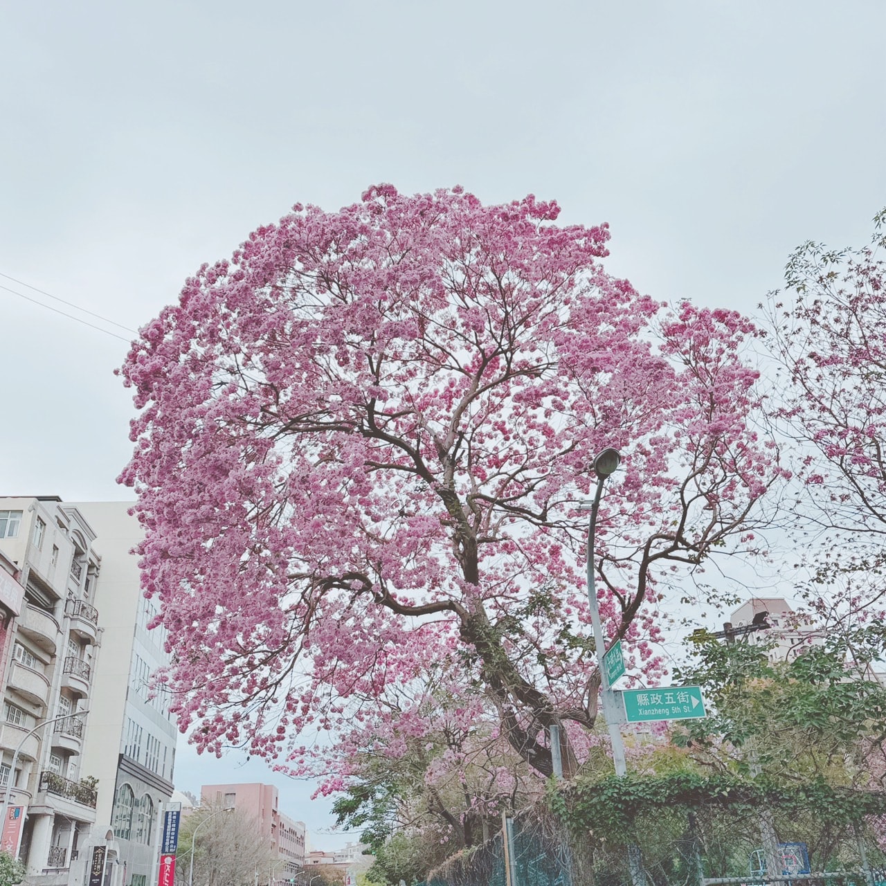 20250124-6fp2o