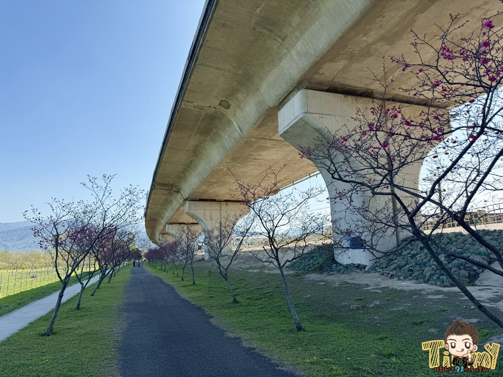 20250124-ilwnm