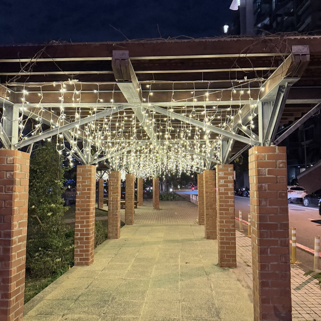 20250123-brngz