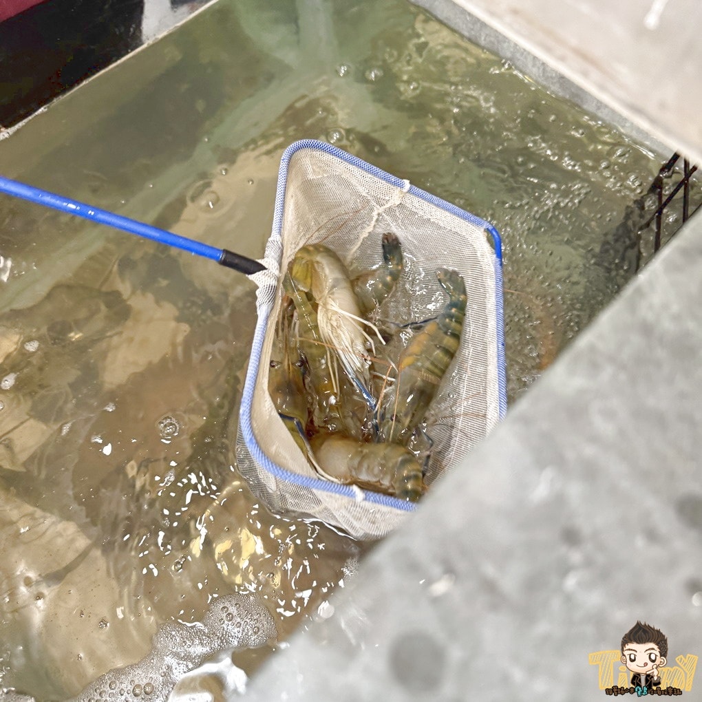新竹蝦咩燒烤.平價快炒 超爆膏活蝦料理。當月壽星還送你整隻大烤魚! (深夜食堂.菜單營業時間地址電話) - 第5張圖 新竹蝦咩燒烤.平價快炒 超爆膏活蝦料理。當月壽星還送你整隻大烤魚! (深夜食堂.菜單營業時間地址電話)