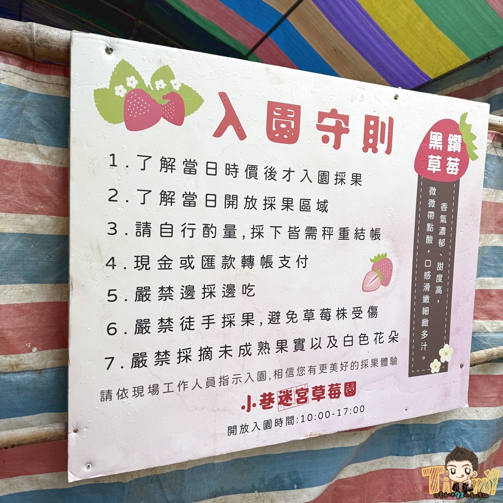 苗栗一日遊懶人包推薦|神隱少女森林、採草莓、甜點伴手禮、玻璃屋下午茶、日式溫泉全攻略 - 第55張圖 苗栗一日遊懶人包推薦|神隱少女森林、採草莓、甜點伴手禮、玻璃屋下午茶、日式溫泉全攻略
