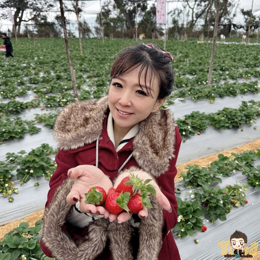 苗栗一日遊懶人包推薦|神隱少女森林、採草莓、甜點伴手禮、玻璃屋下午茶、日式溫泉全攻略 - 第50張圖 苗栗一日遊懶人包推薦|神隱少女森林、採草莓、甜點伴手禮、玻璃屋下午茶、日式溫泉全攻略