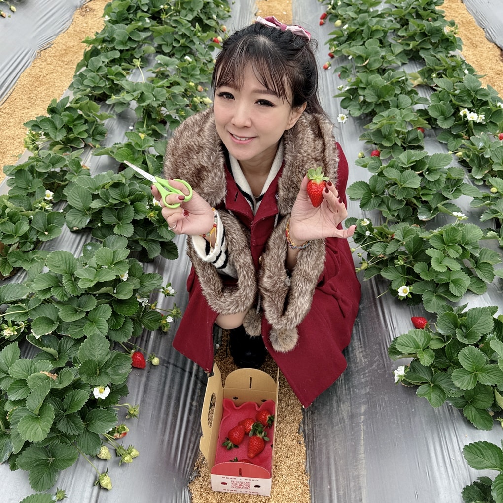 苗栗一日遊懶人包推薦|神隱少女森林、採草莓、甜點伴手禮、玻璃屋下午茶、日式溫泉全攻略 - 第52張圖 苗栗一日遊懶人包推薦|神隱少女森林、採草莓、甜點伴手禮、玻璃屋下午茶、日式溫泉全攻略