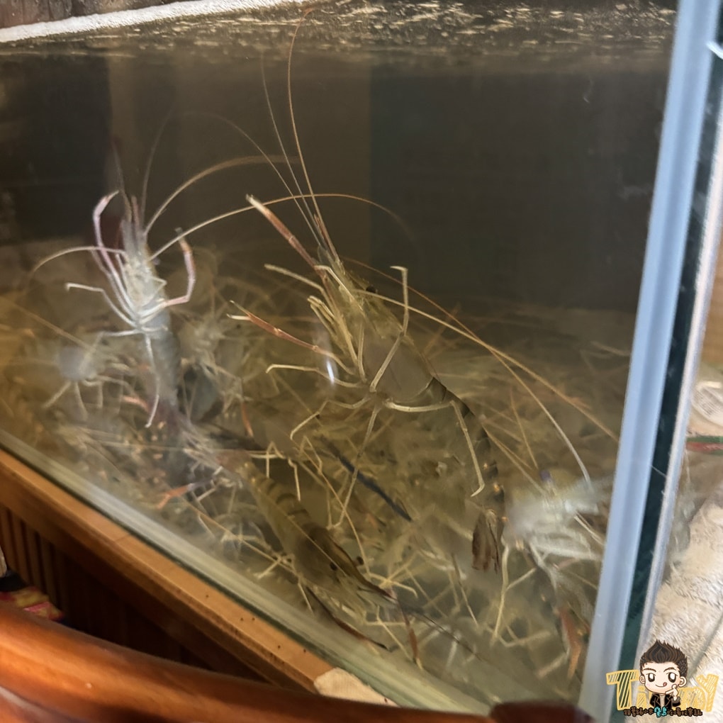 新竹食禾酒藏平價串烤居酒屋！ 有炭烤香的串烤40元起！ 烤活蝦.定食.生魚片深夜食堂！ (菜單營業時間地址電話)