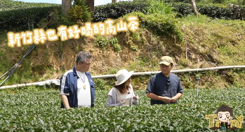 新竹喝茶趣！  高山茶、手搖飲、茶麵包  帶你秒懂在地茶香