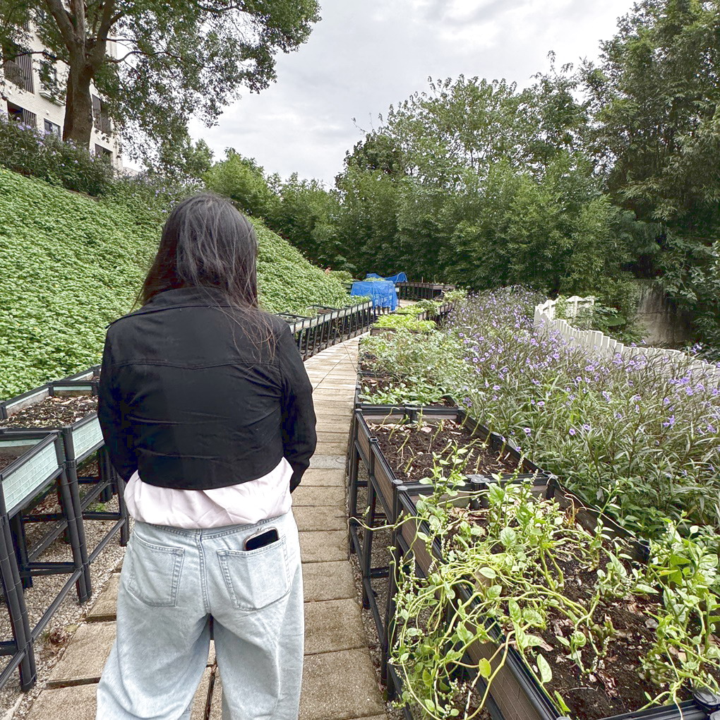 新竹關西。亞洲健康智慧園區 超乎想像,不只是樂齡園區而是幸福寓所! 天天泡美人湯、醫療團隊、超大庭園及以家人看待的園區服務,住進來就不想離開了! - 第37張圖 新竹關西。亞洲健康智慧園區 超乎想像,不只是樂齡園區而是幸福寓所! 天天泡美人湯、醫療團隊、超大庭園及以家人看待的園區服務,住進來就不想離開了!
