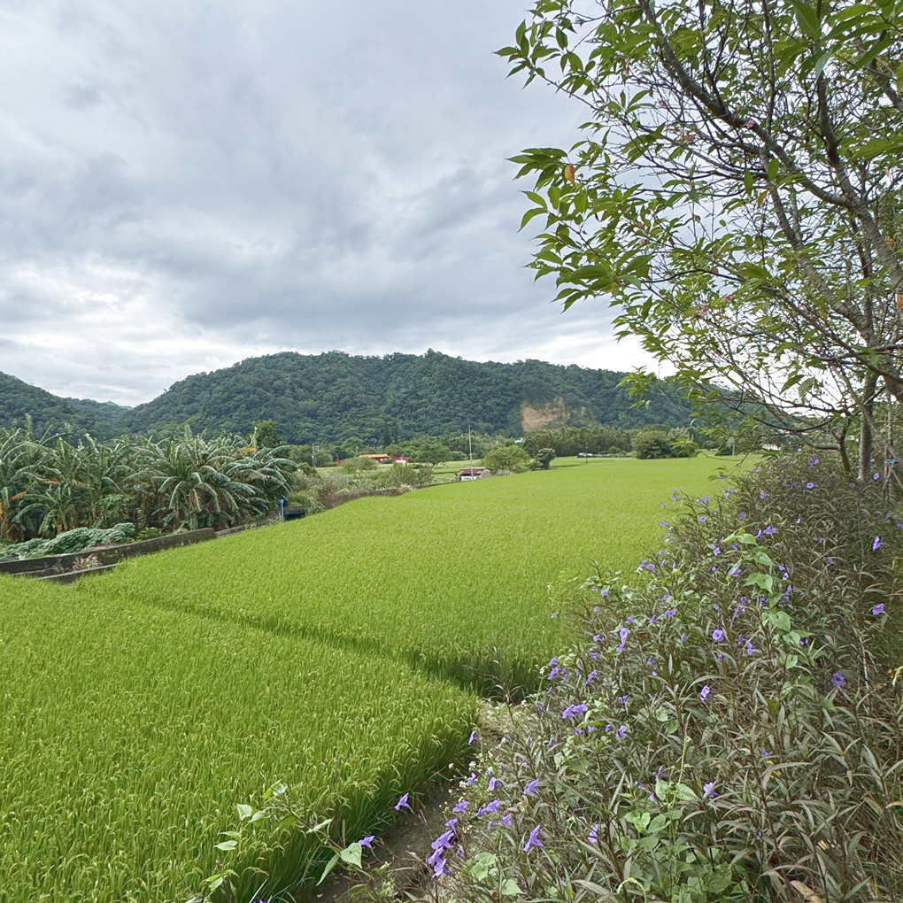 新竹關西。亞洲健康智慧園區 超乎想像,不只是樂齡園區而是幸福寓所! 天天泡美人湯、醫療團隊、超大庭園及以家人看待的園區服務,住進來就不想離開了! - 第36張圖 新竹關西。亞洲健康智慧園區 超乎想像,不只是樂齡園區而是幸福寓所! 天天泡美人湯、醫療團隊、超大庭園及以家人看待的園區服務,住進來就不想離開了!