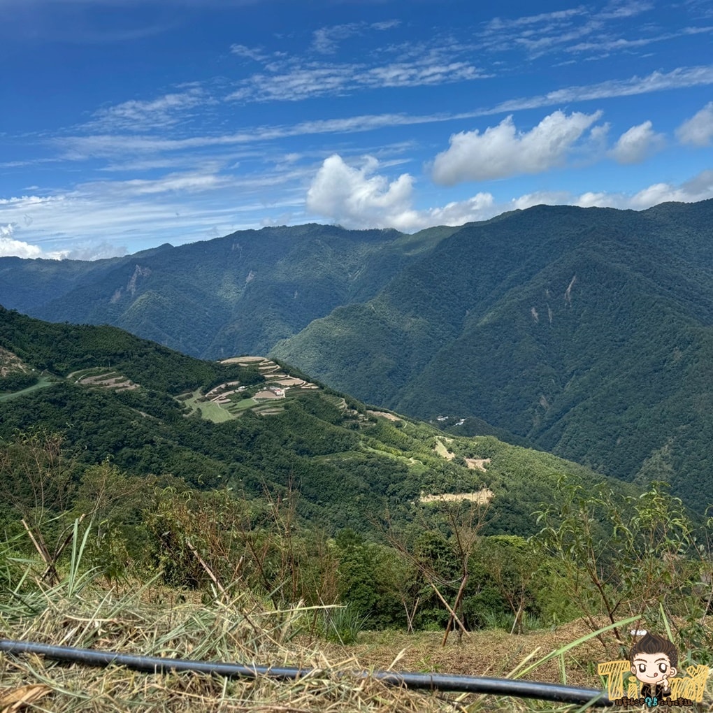 新竹喝茶趣！  高山茶、手搖飲、茶麵包  帶你秒懂在地茶香