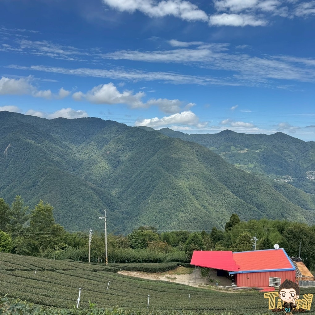 新竹喝茶趣！  高山茶、手搖飲、茶麵包  帶你秒懂在地茶香