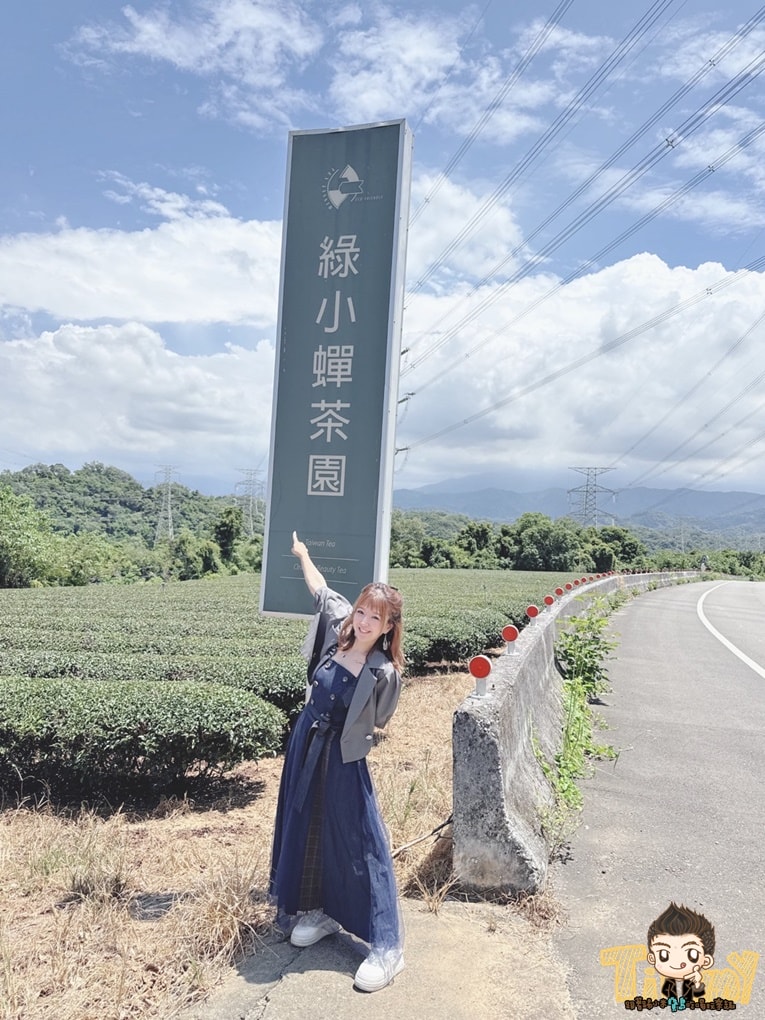 新竹喝茶趣！  高山茶、手搖飲、茶麵包  帶你秒懂在地茶香