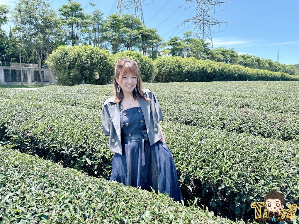 新竹喝茶趣！  高山茶、手搖飲、茶麵包  帶你秒懂在地茶香