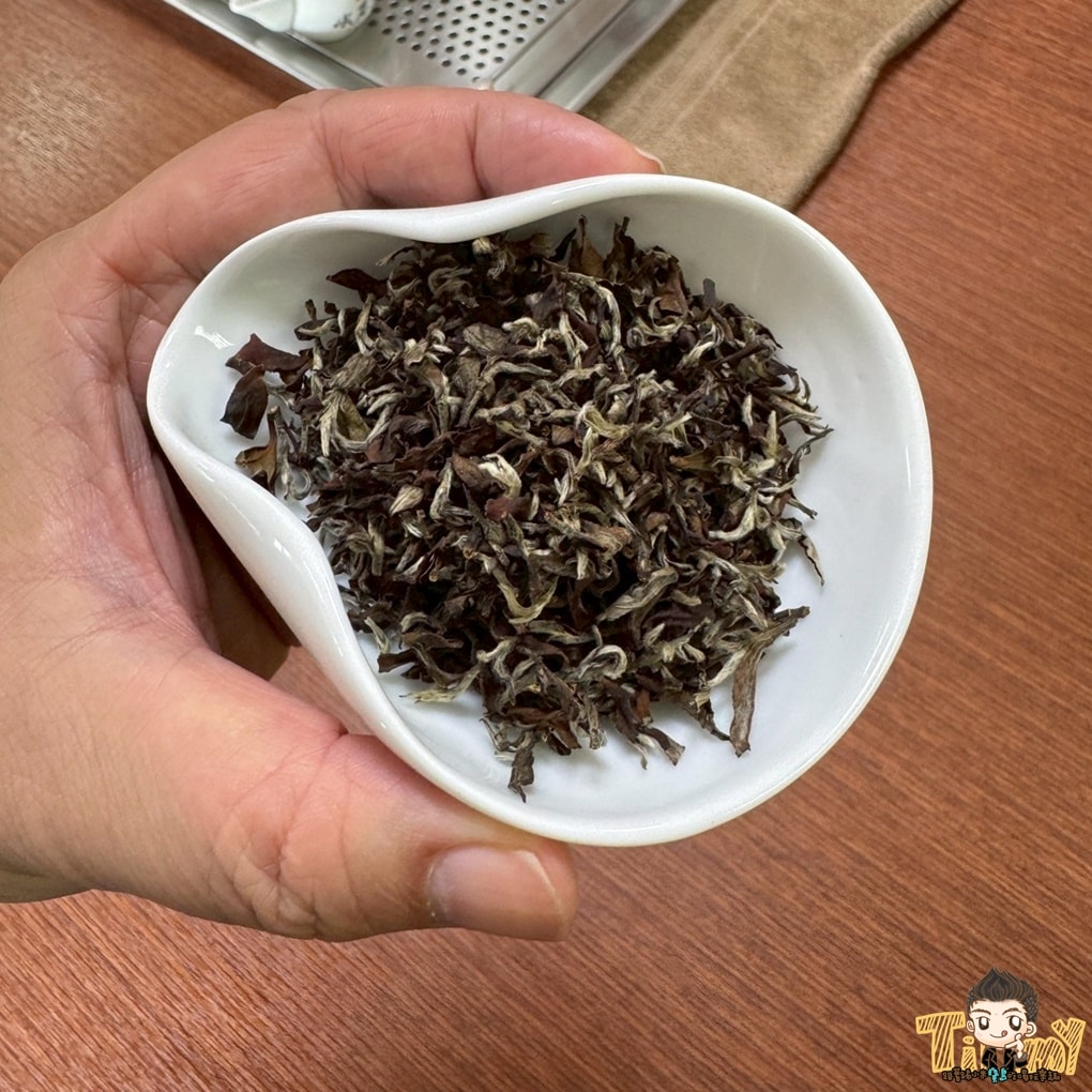 新竹喝茶趣！  高山茶、手搖飲、茶麵包  帶你秒懂在地茶香